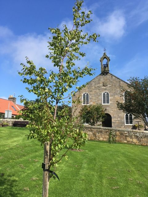 Strathkinness Community Council